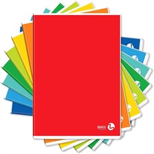 Maxi quaderni rigo C 10 pezzi colori assortiti